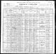 1900 IL Census for Antonie ZAJICEK 42 and mother 'Mary' 82