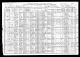 1910 IL Census for Vaclav ZAJICEK age 65 (undertaker) and family: