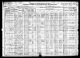 1920 IL Census for James ZAJICEK 70 (undertaker) and wife: