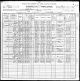 Census IL 1900 for John ZEMAN age 49 and family: