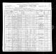 1900 NY Census for Patrick RYAN age 32, day laborer, immigrated 1890, and family: